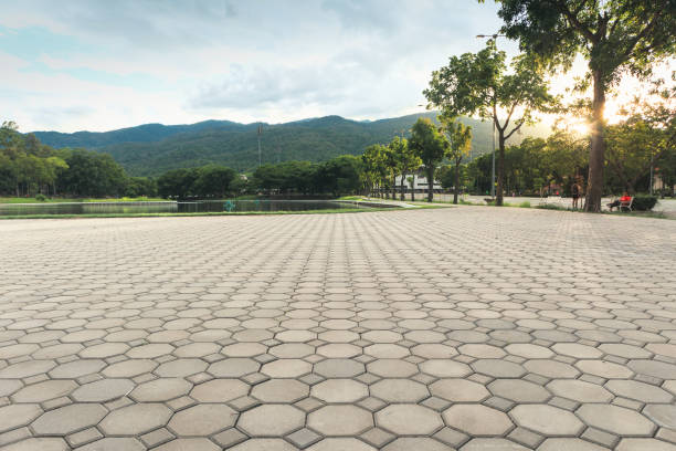 Best Concrete Paver Driveway  in Parker, AZ